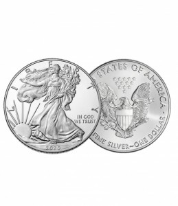 °ñµå¾Ø½Ç¹ö > 2020 1oz ½Ç¹ö ¾Æ¸Þ¸®Ä ÀÌ±Û ÄÚÀÎ BU